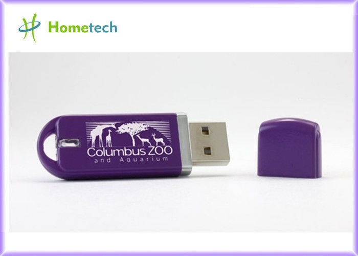 As varas profissionais da memória da vara 2-4GB USB do OEM, flash plástico de USB conduzem com logotipo feito sob encomenda